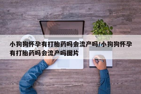 最便宜的打胎药的私人微信小狗狗怀孕有打胎药吗会流产吗/小狗狗怀孕有打胎药吗会流产吗图片