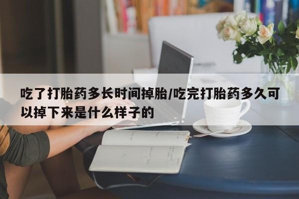 最便宜的打胎药的私人微信吃了打胎药多长时间掉胎/吃完打胎药多久可以掉下来是什么样子的